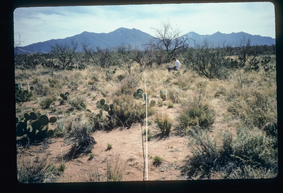 2N_4E_from_0_1997_Mar_14.jpg