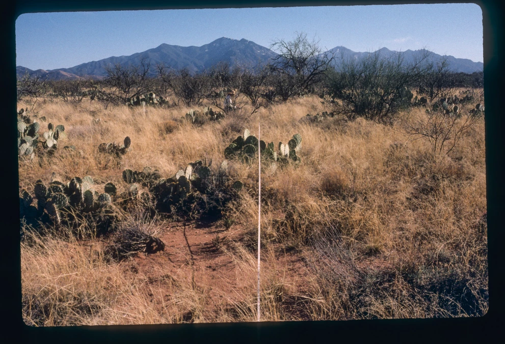 2N_4E_from_0_2000_Mar_10.jpg