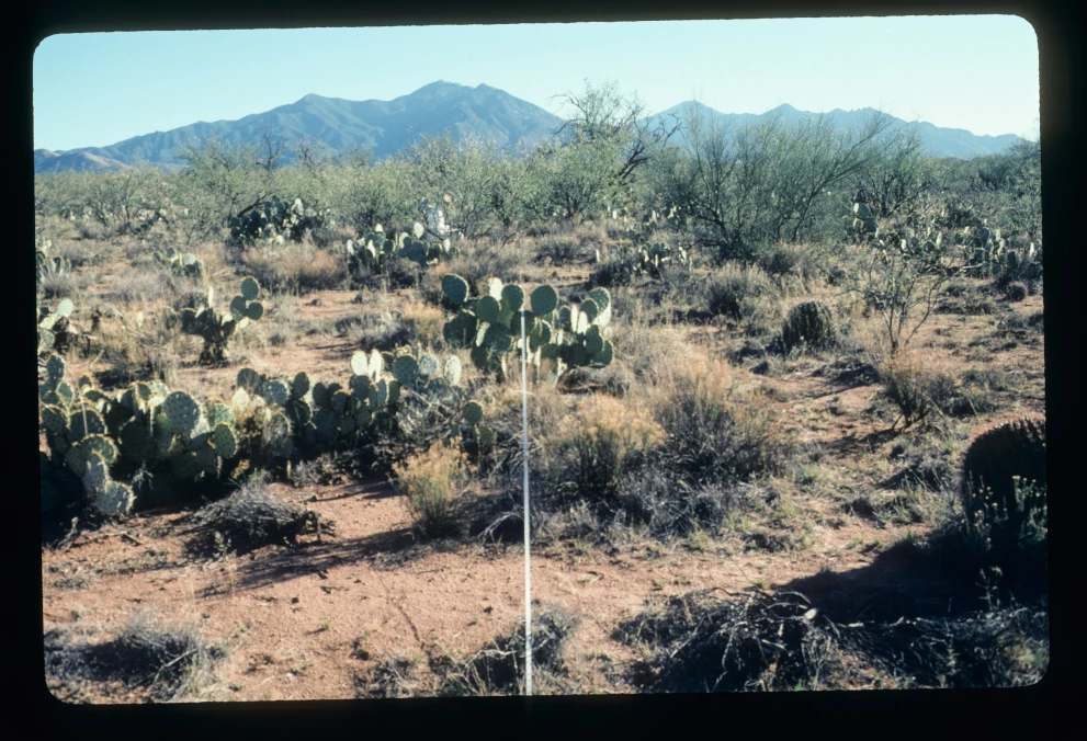 2N_4E_from_0_2003_Feb_21.jpg