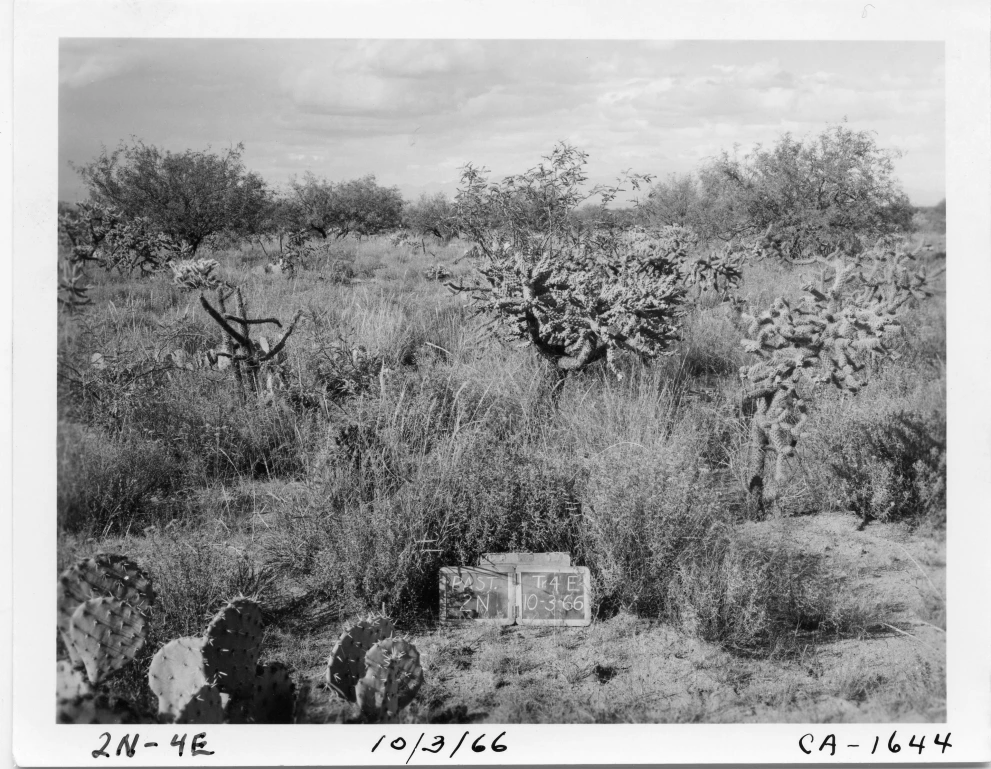 2N_4E_from_100_1966_Oct_03.jpg