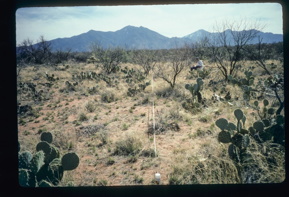2N_4W_from_0_1997_Mar_14.jpg