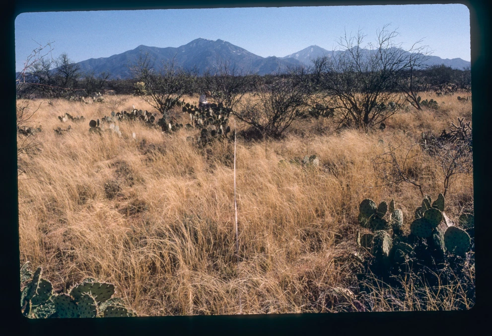 2N_4W_from_0_2000_Mar_10.jpg