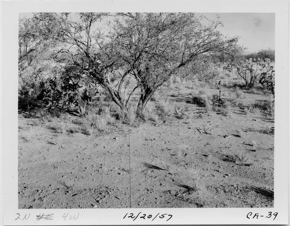 2N_4W_from_100_1957_Dec_20.jpg