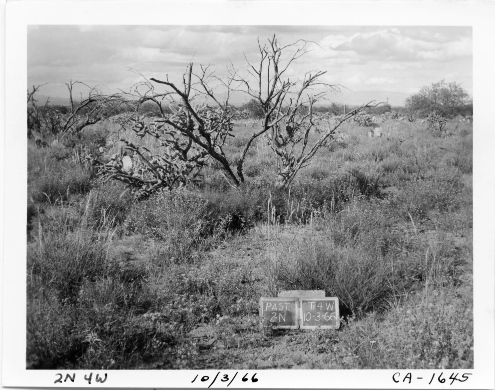 2N_4W_from_100_1966_Oct_03.jpg