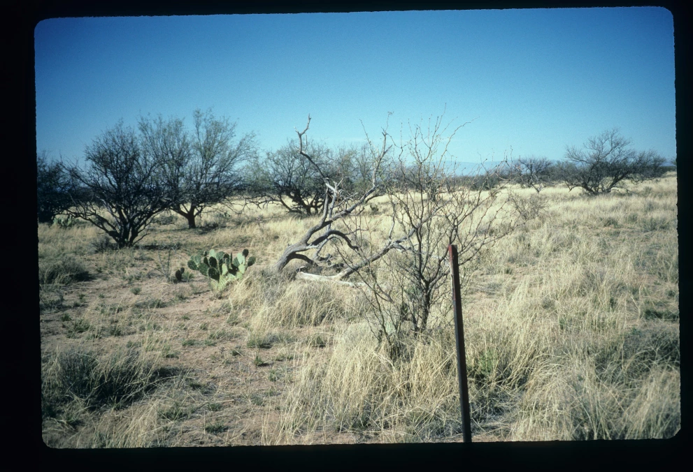 2S_4_from_0_1997_Mar_20.jpg