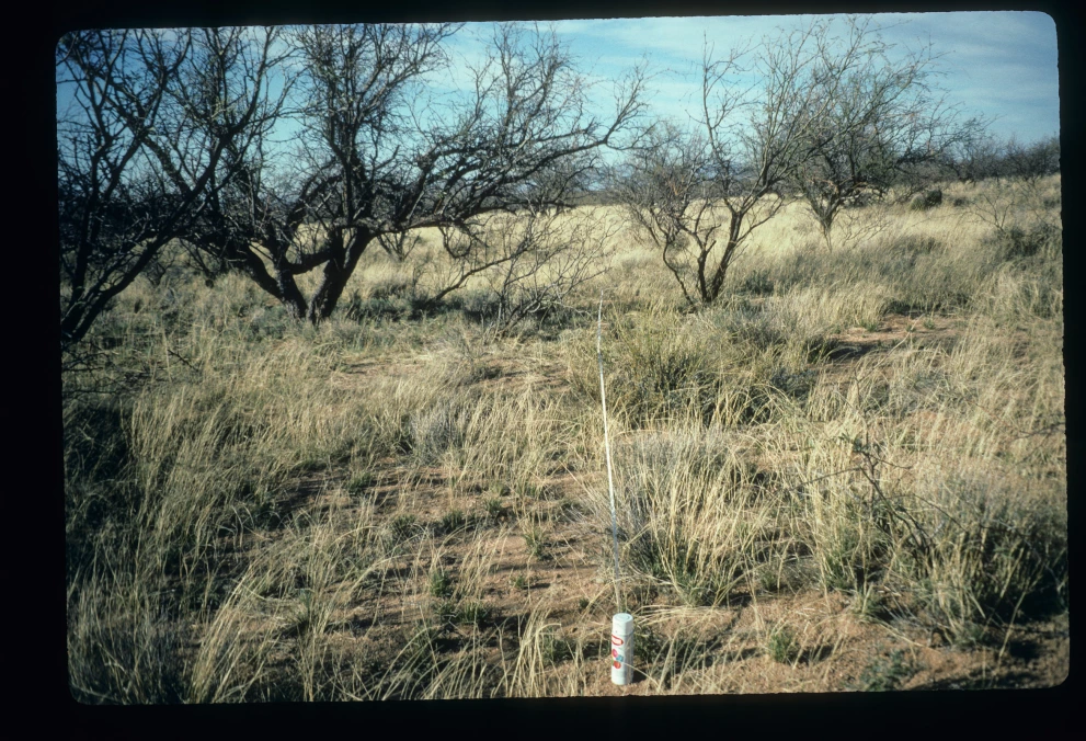 2S_6_from_0_1997_Mar_17.jpg