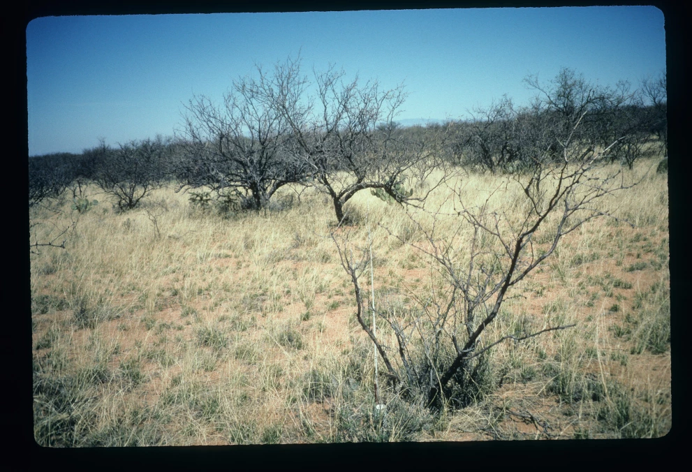 2S_7_from_0_1997_Mar_18.jpg