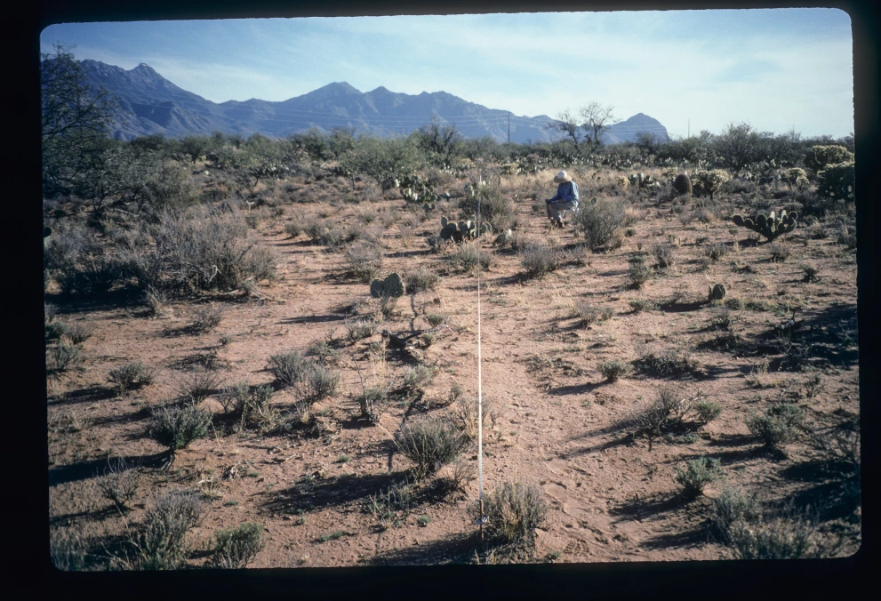 3_10E_from_0_1997_Feb_21.jpg