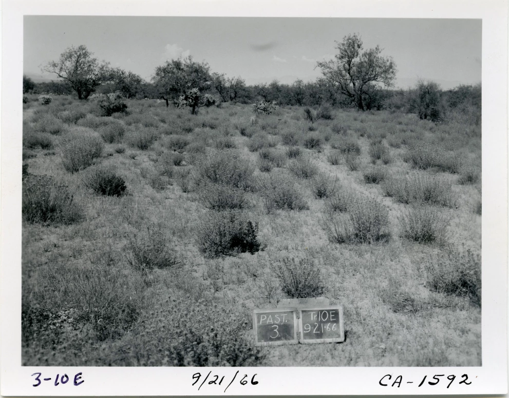 3_10E_from_100_1966_Sep_21.jpg