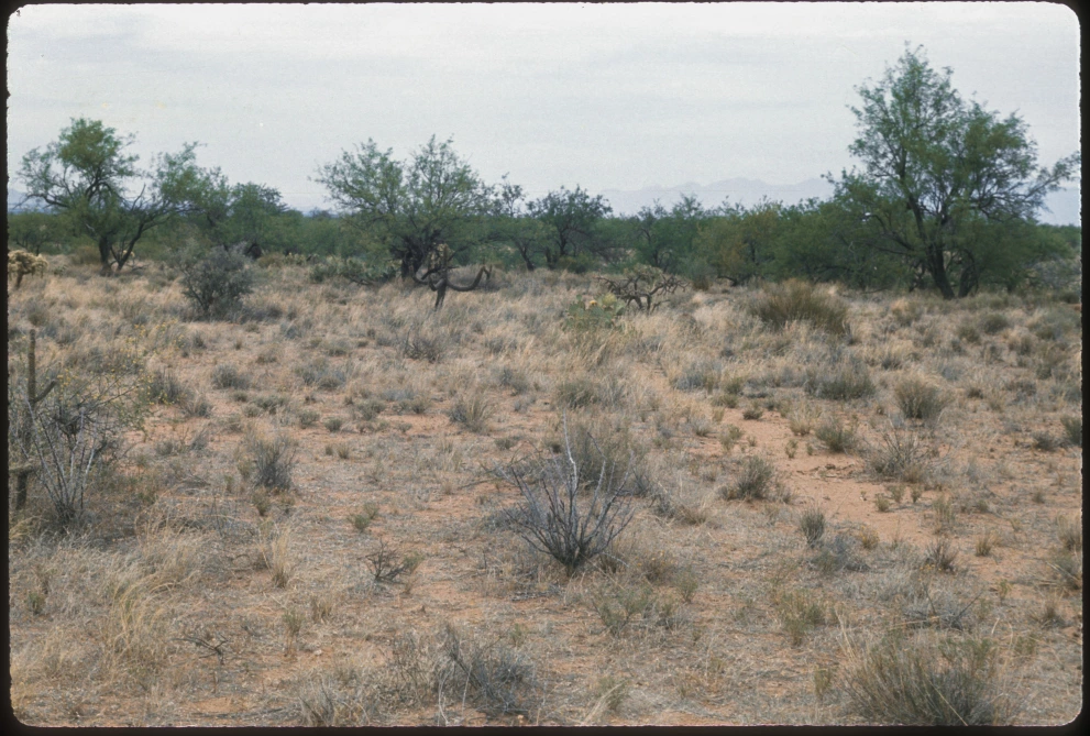 3_10E_from_100_1975_Jun_06.jpg