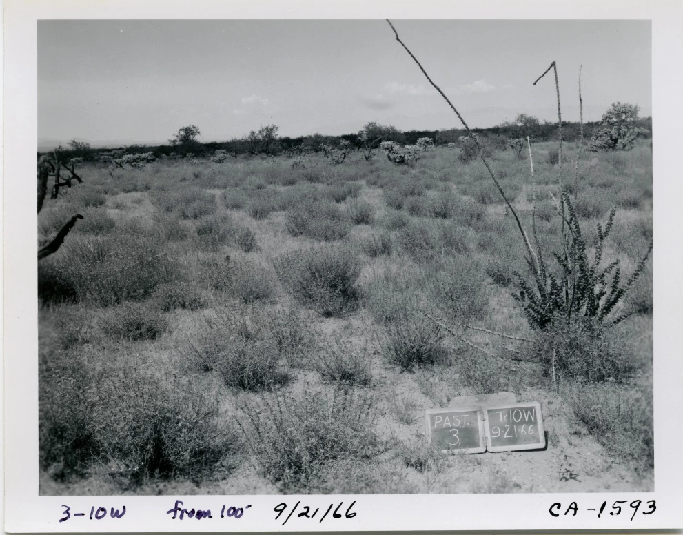 3_10W_from_100_1966_Sep_21.jpg