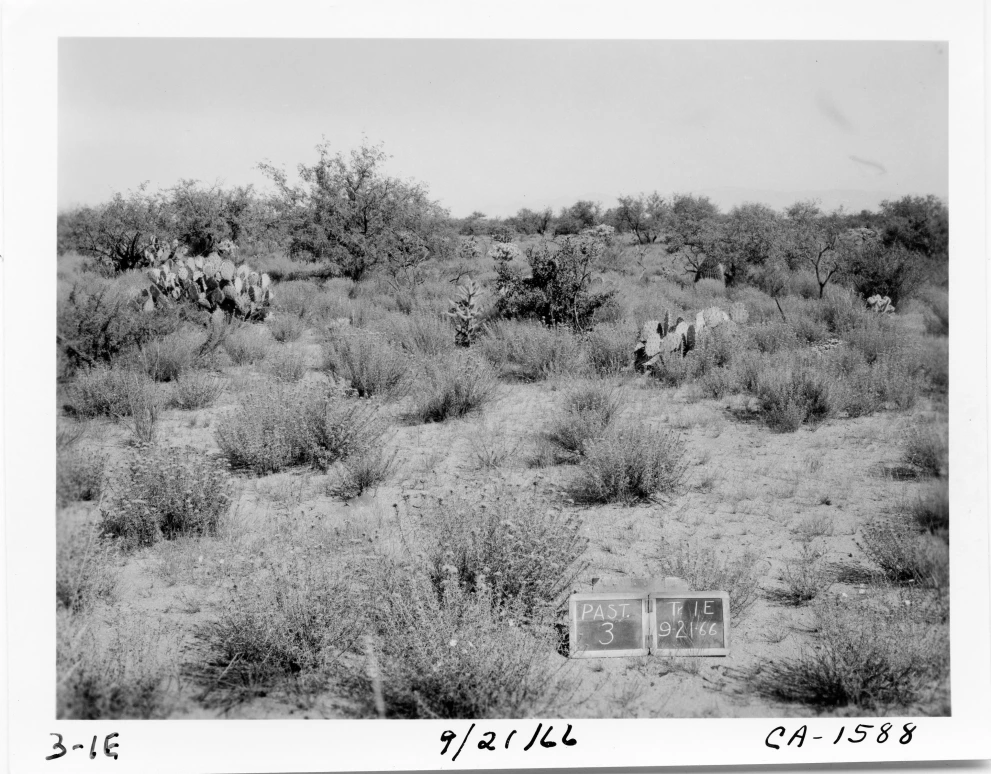 3_1E_from_100_1966_Sep_21.jpg