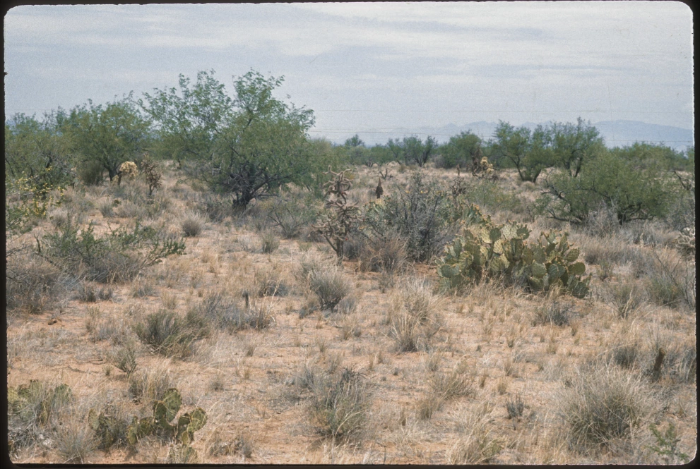 3_1E_from_100_1975_Jun_06.jpg