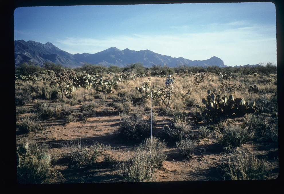 3_1W_from_0_1997_Feb_21.jpg