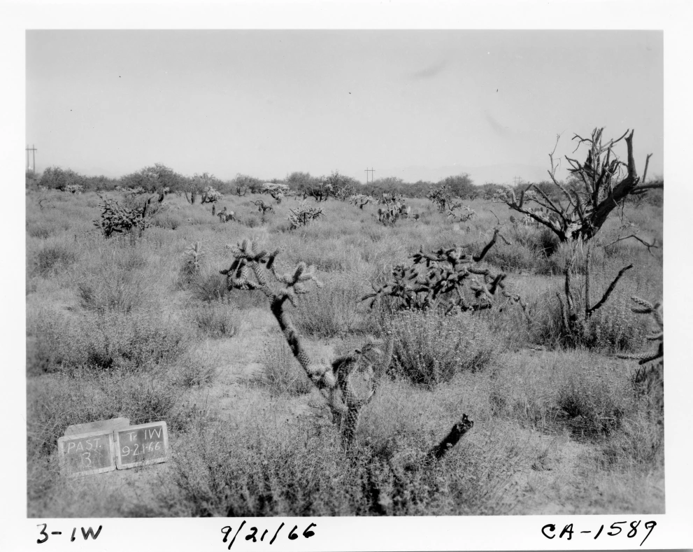 3_1W_from_100_1966_Sep_21.jpg