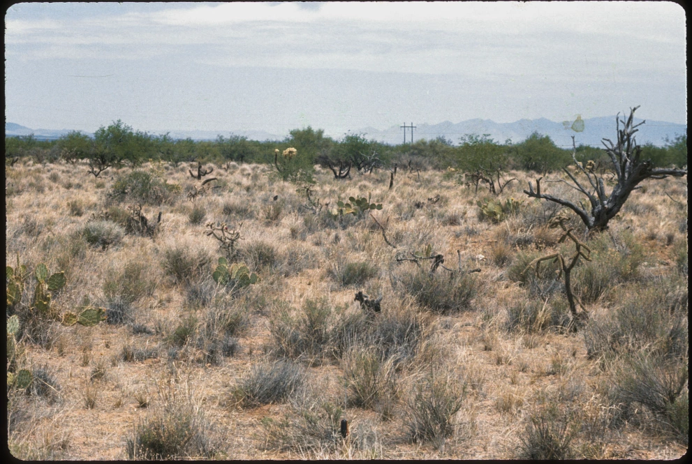 3_1W_from_100_1975_Jun_06.jpg