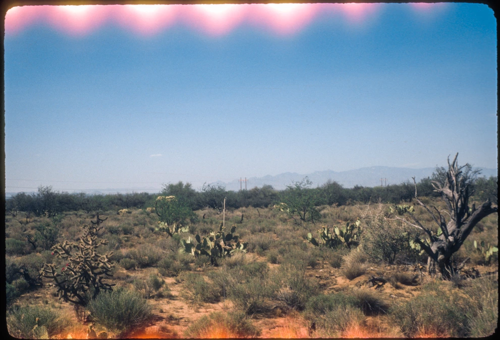 3_1W_from_100_1981_May_20.jpg