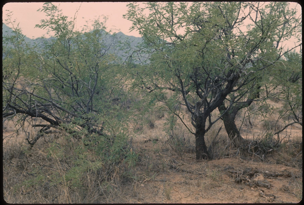 3_4W_from_0_1975_Jun_06.jpg