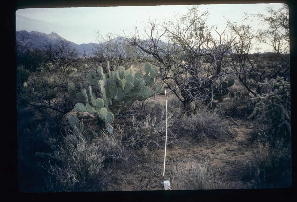 3_4W_from_0_1997_Mar_07.jpg