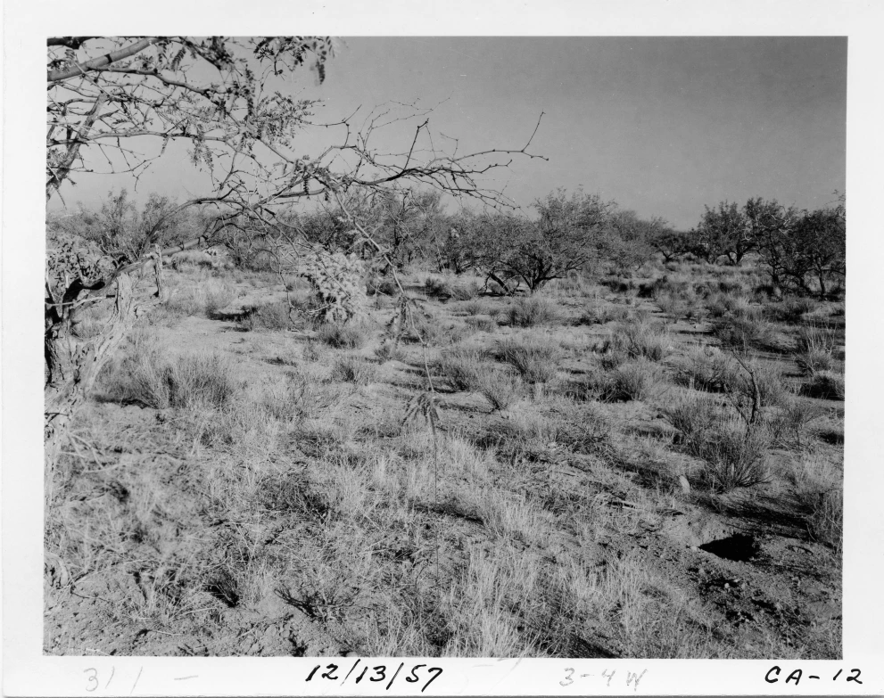 3_4W_from_100_1957_Dec_13.jpg