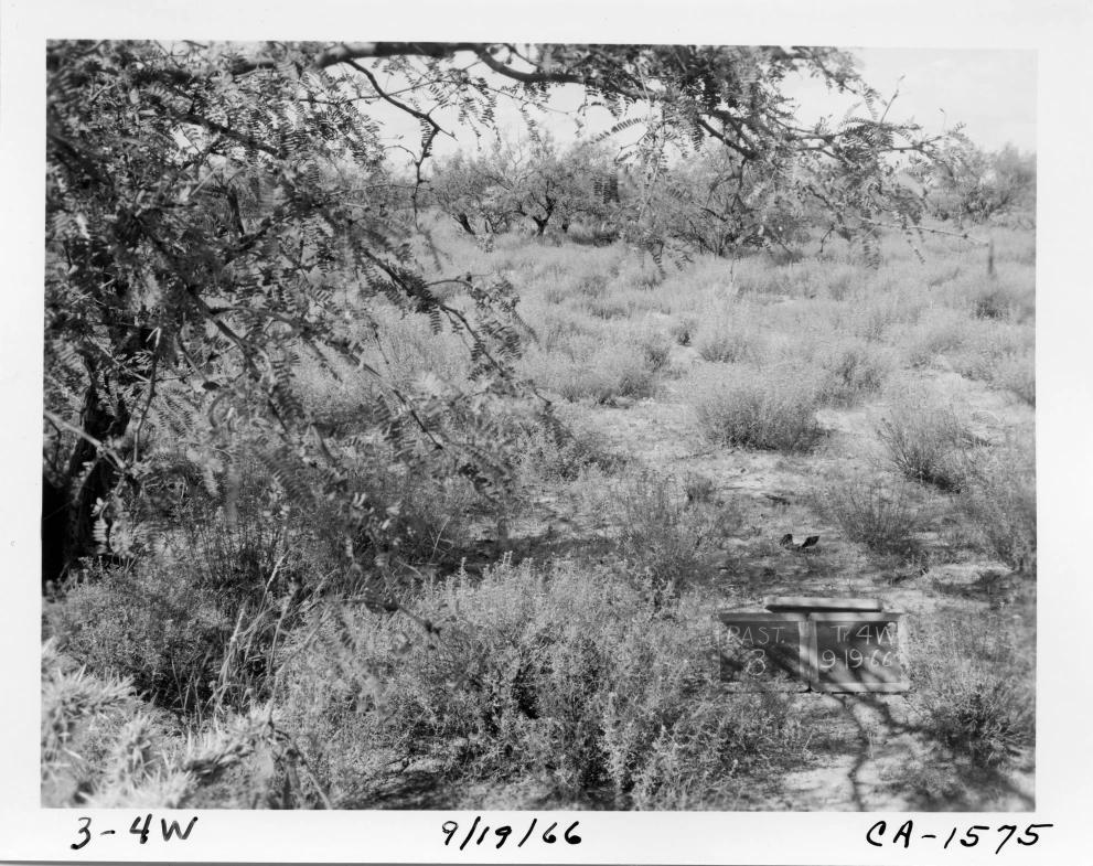 3_4W_from_100_1966_Sep_19.jpg