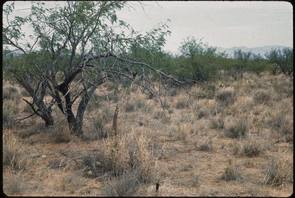 3_4W_from_100_1975_Jun_06.jpg