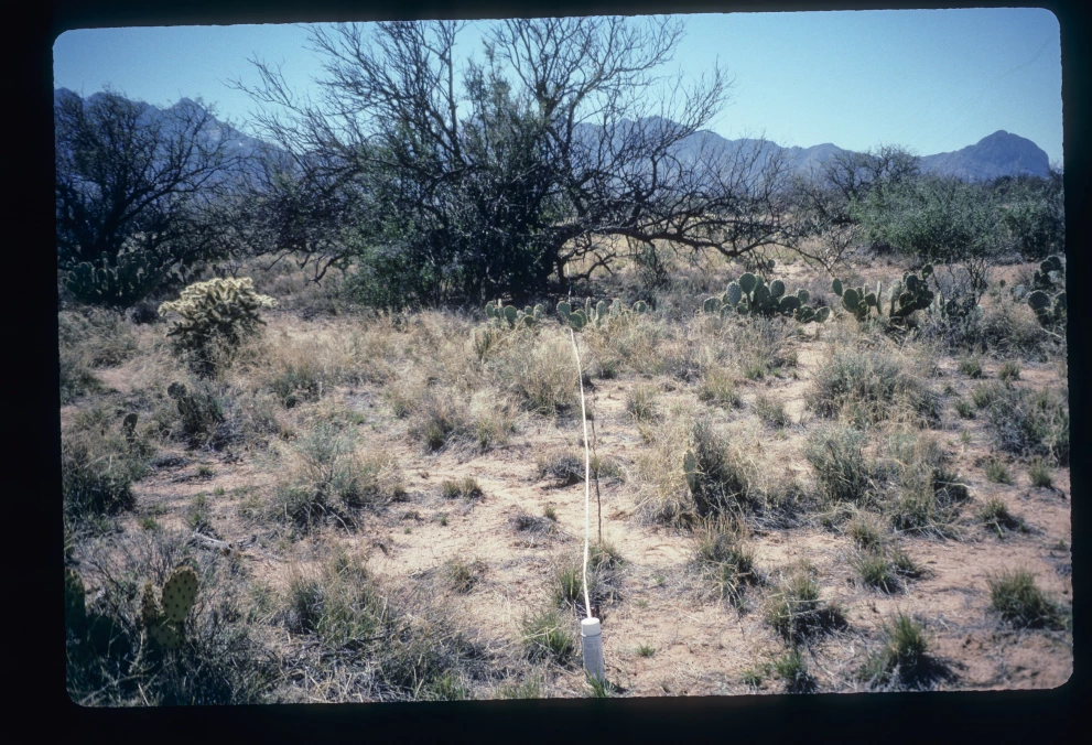 3_7E_from_0_1997_Mar_20.jpg