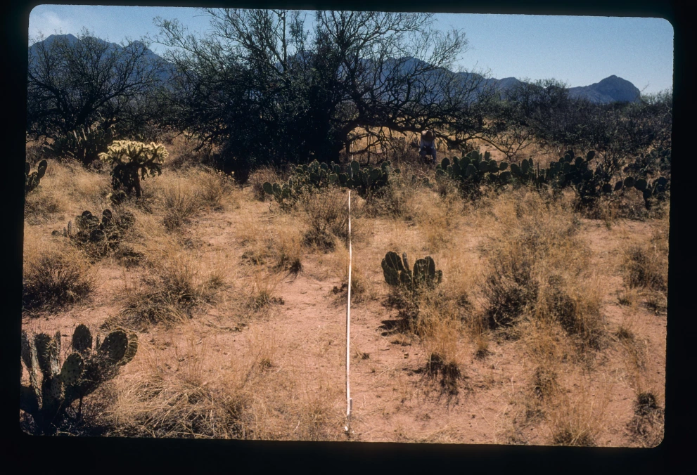 3_7E_from_0_2000_Mar_03.jpg