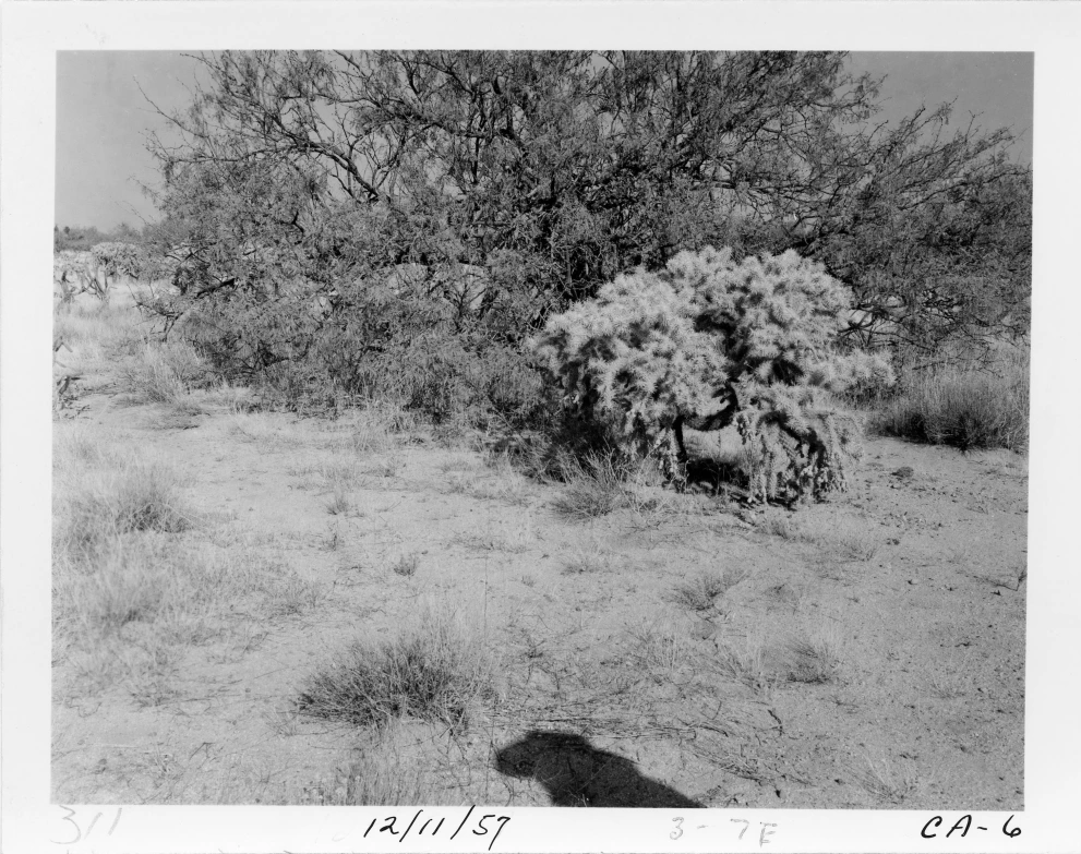 3_7E_from_100_1957_Dec_11.jpg