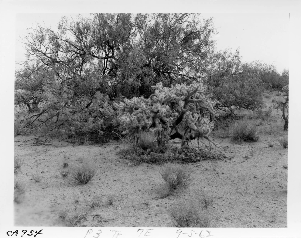 3_7E_from_100_1962_Sep_05.jpg