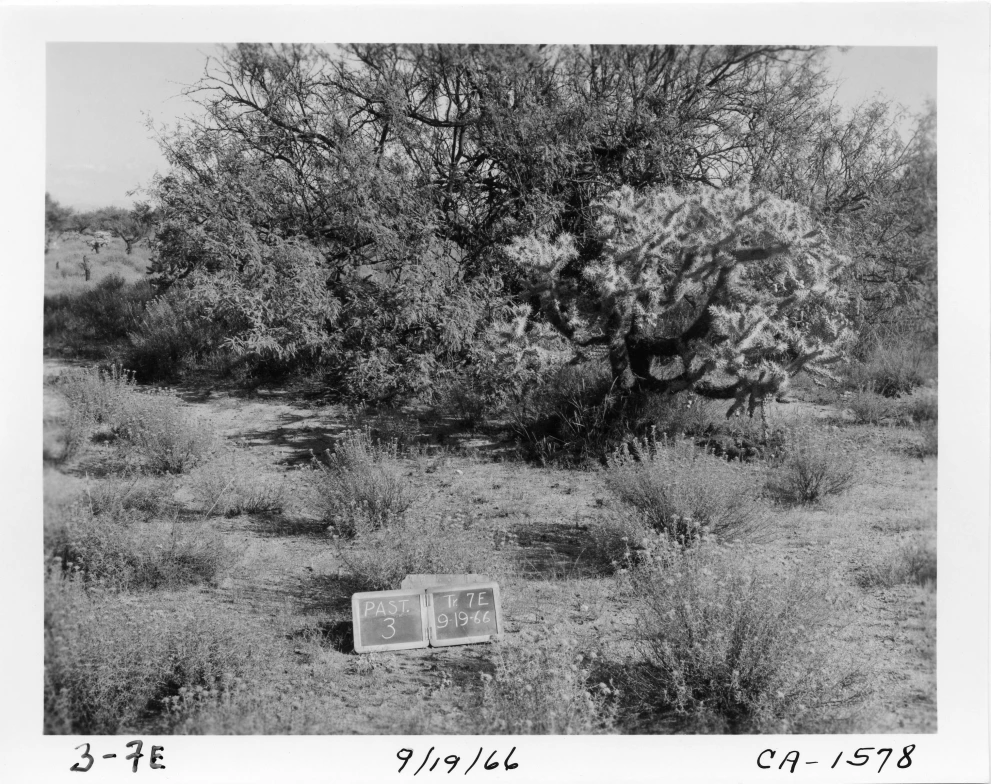 3_7E_from_100_1966_Sep_19.jpg