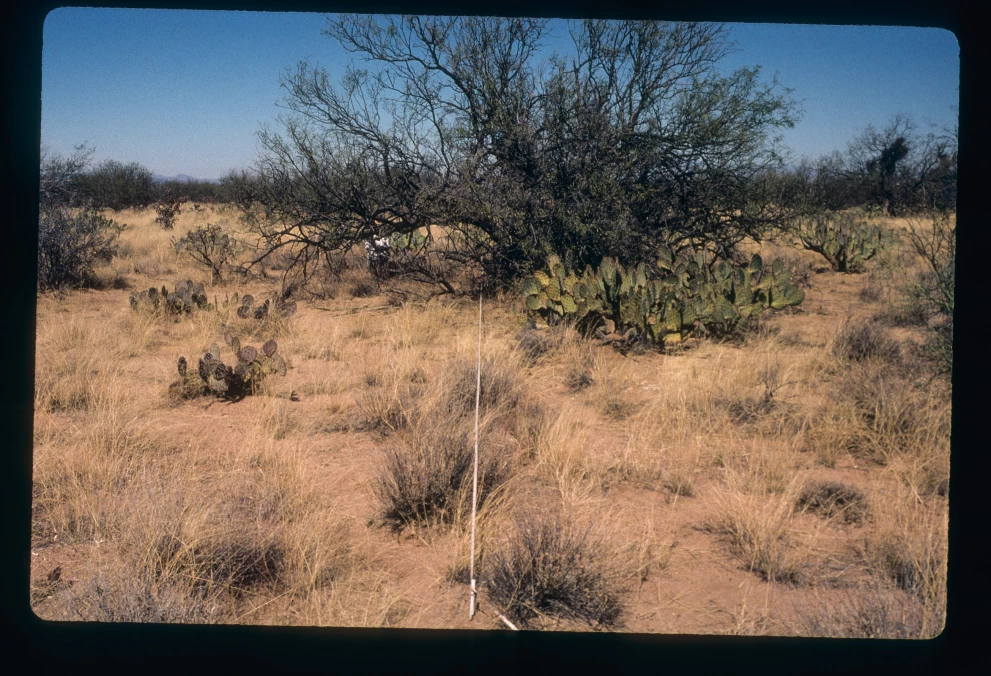 3_7E_from_100_2000_Mar_03.jpg