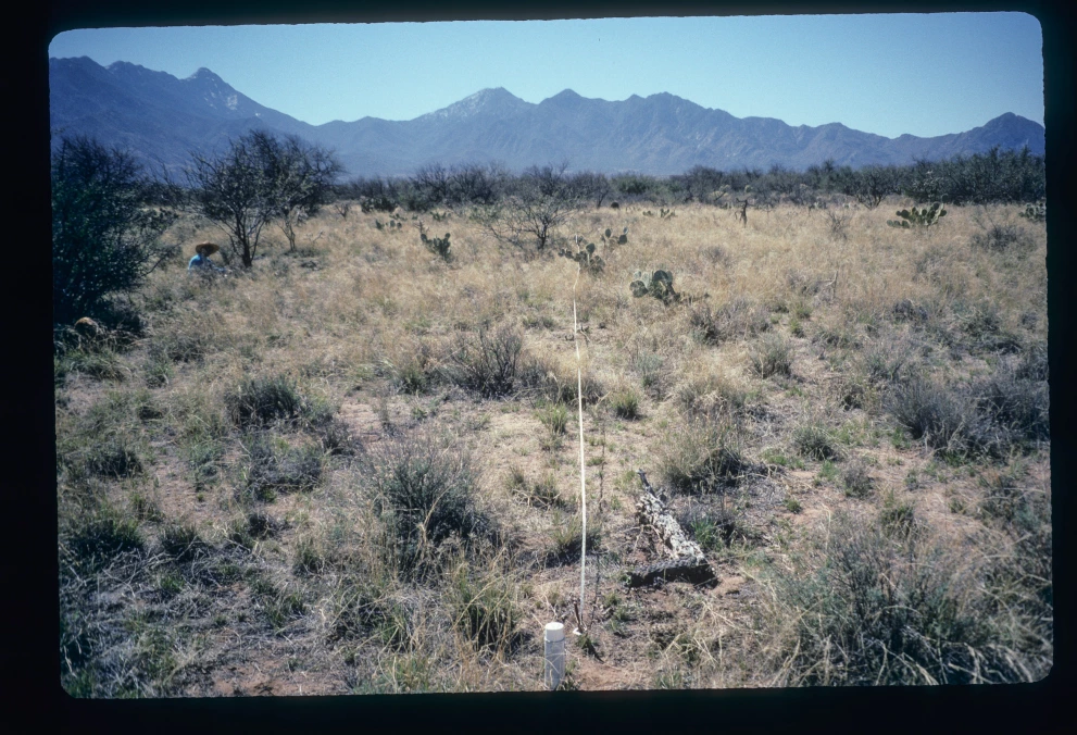 3_7W_from_0_1997_Mar_20.jpg