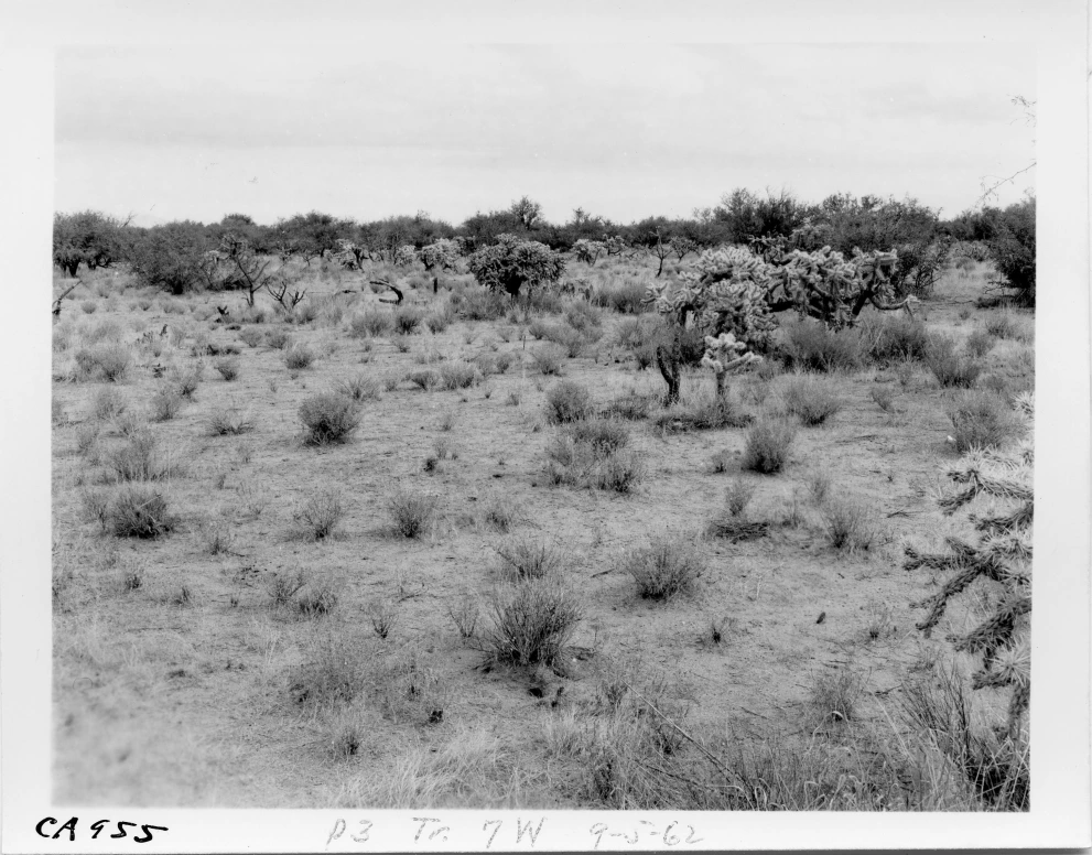 3_7W_from_100_1962_Sep_05.jpg