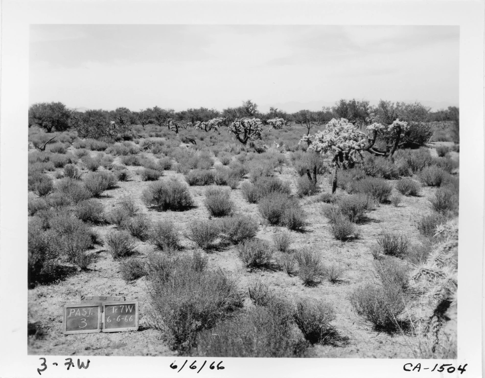 3_7W_from_100_1966_Jun_06.jpg