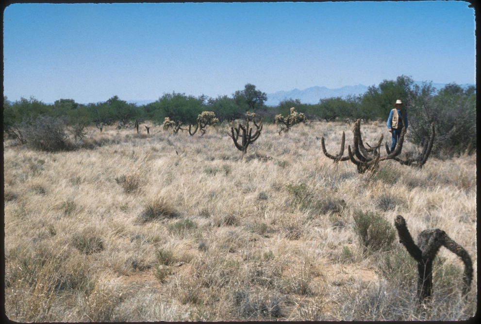 3_7W_from_100_1975_Jun_05.jpg