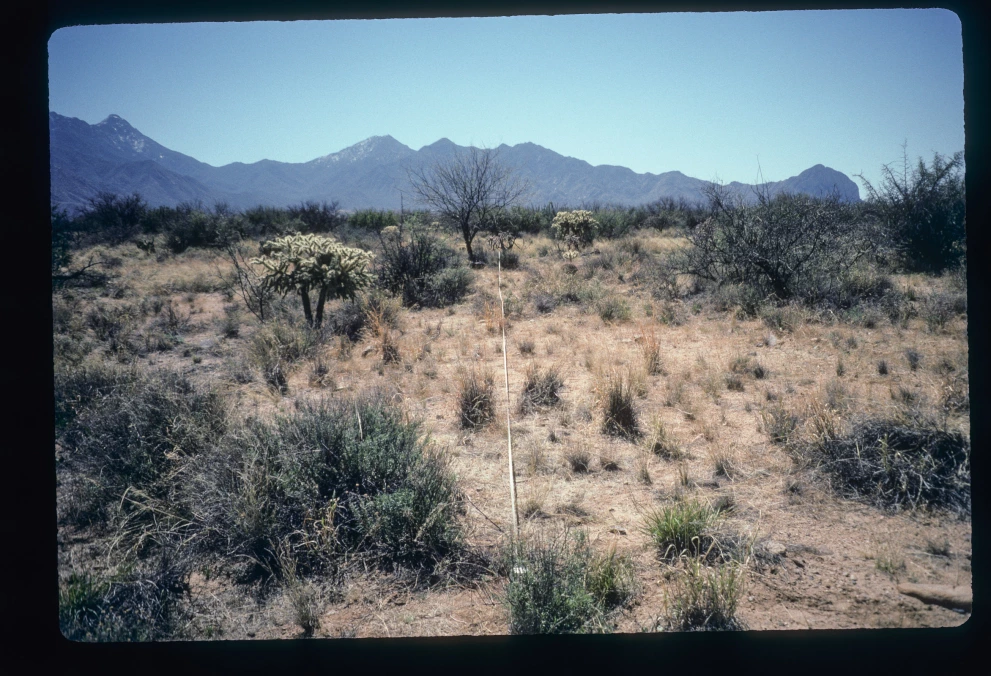 3_8E_from_0_1997_Mar_20.jpg