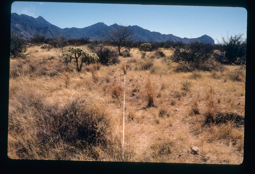 3_8E_from_0_2000_Mar_03.jpg