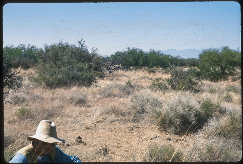 3_8E_from_100_1975_Jun_05.jpg
