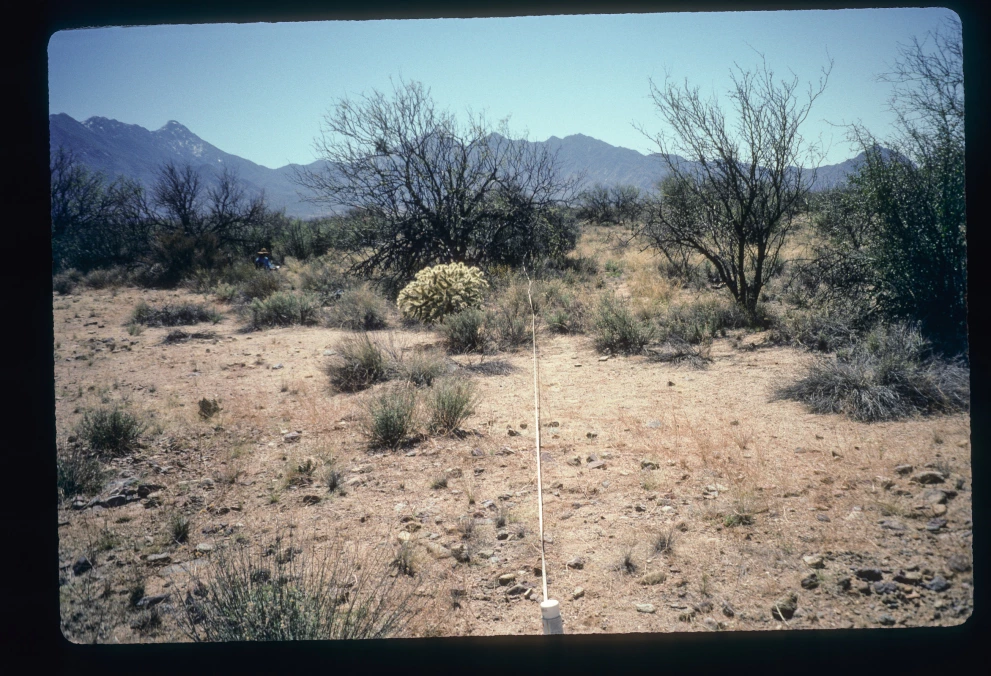 3_8W_from_0_1997_Mar_20.jpg