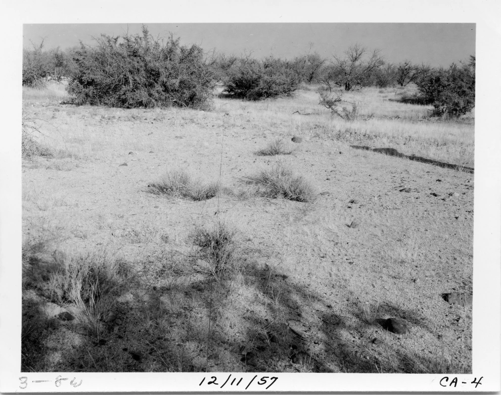 3_8W_from_100_1957_Dec_11.jpg
