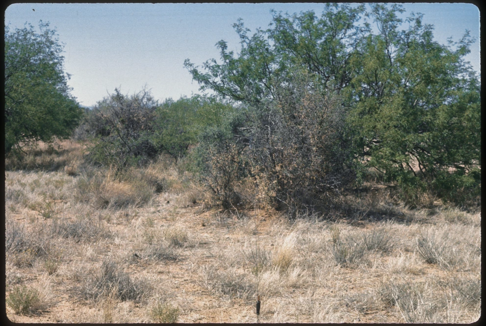 3_8W_from_100_1975_Jun_05.jpg