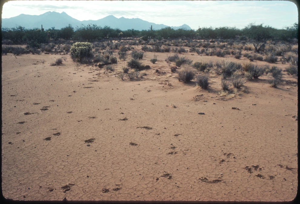 5N_11E_from_0_1982_Oct_27.jpg