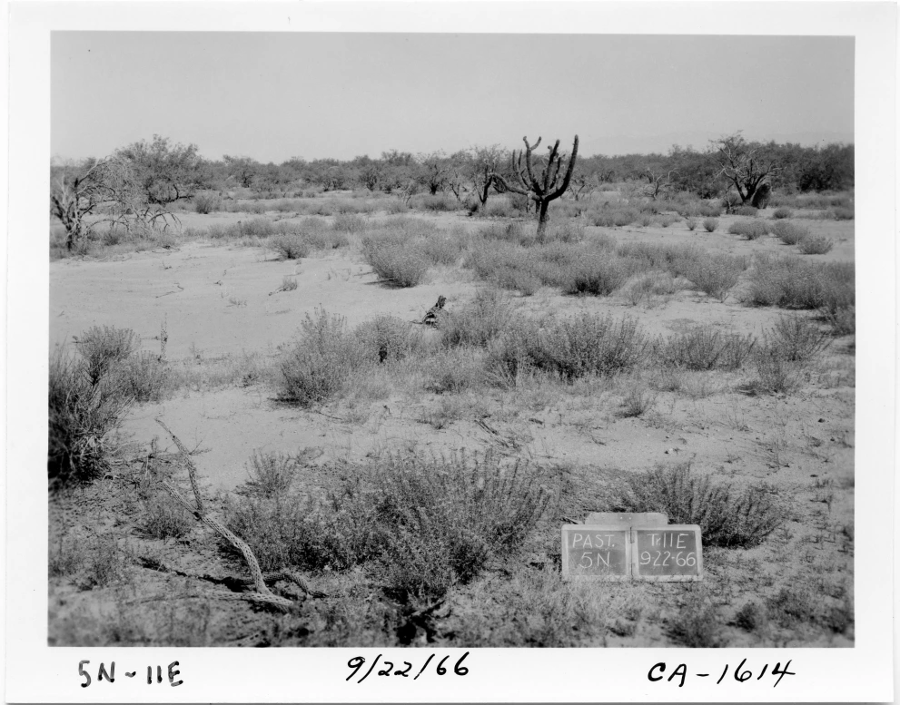 5N_11E_from_100_1966_Sep_22.jpg