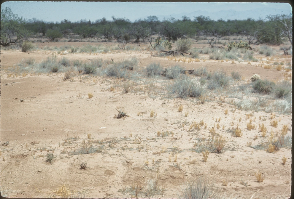 5N_11E_from_100_1975_May_21.jpg