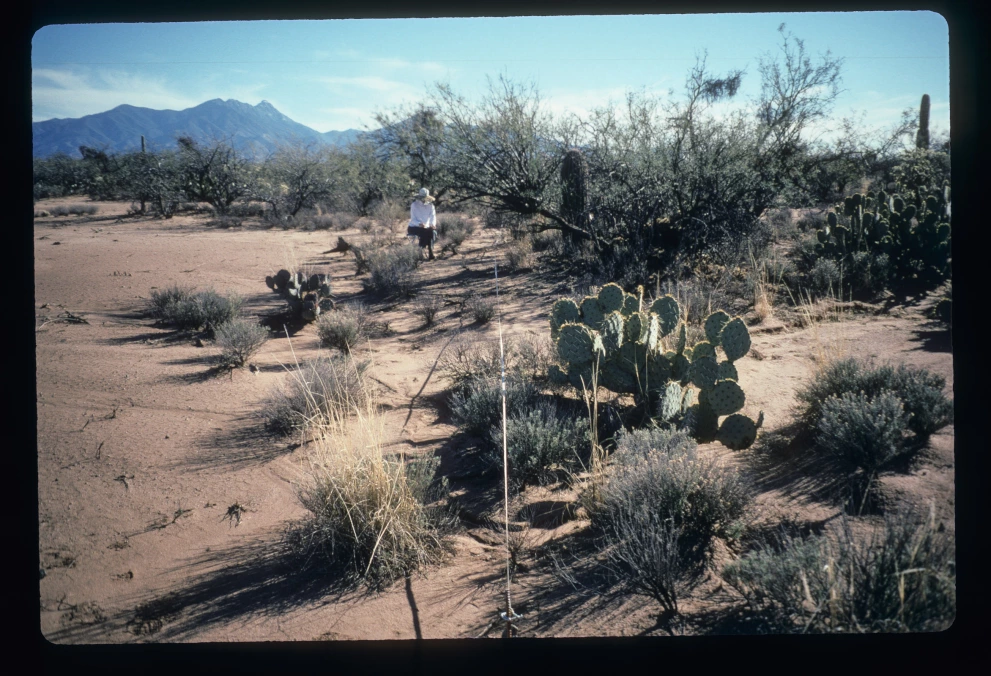 5N_11W_from_0_1997_Feb_07.jpg