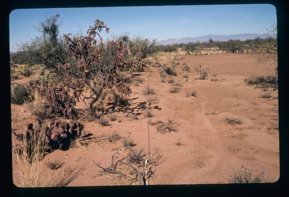 5N_11W_from_100_2000_Jan_24.jpg
