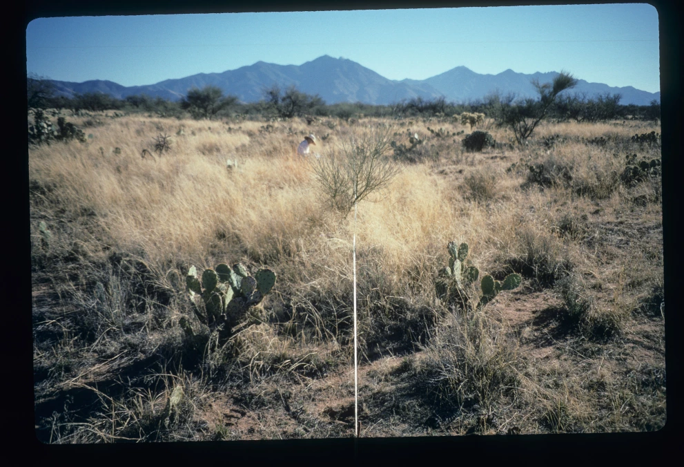 5N_1E_from_0_1997_Feb_03.jpg