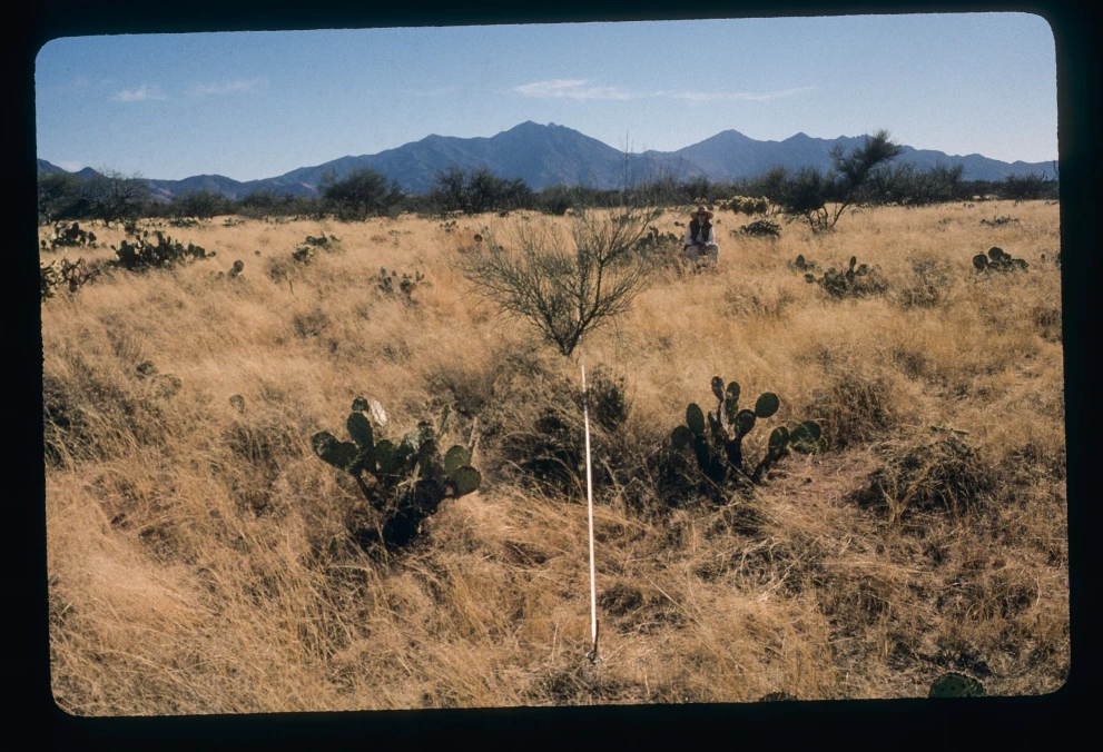 5N_1E_from_0_2000_Jan_28.jpg