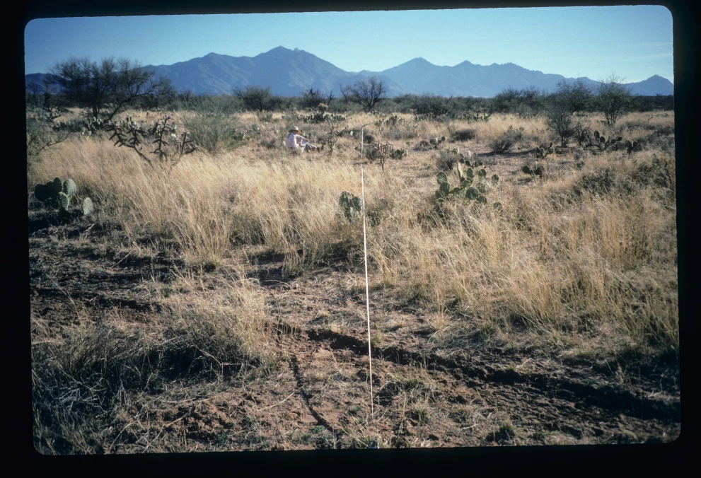 5N_1W_from_0_1997_Feb_03.jpg